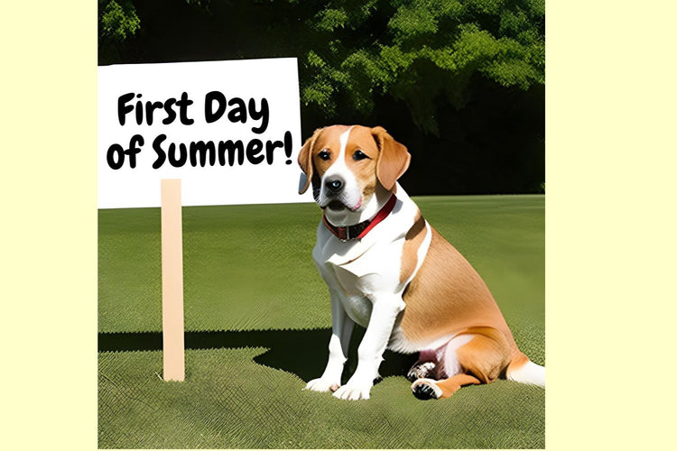 Summer and Your Dog Says: