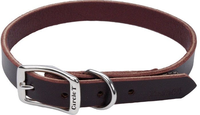 Circle T Latigo Town Dog Collar Media 1 of 2