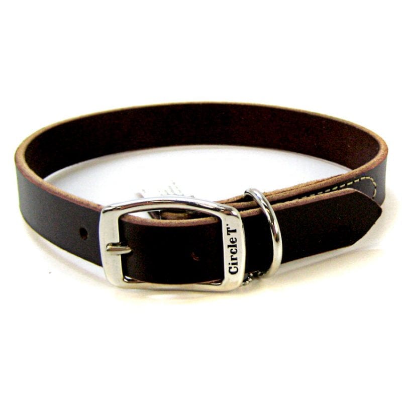 Circle T Latigo Town Dog Collar Media 2 of 2