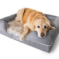 Paw Brands Pup Lounge Memory Foam Bolster Bed & Topper Dog Bed (X-Large - 44" L x 34" W x 10" H)