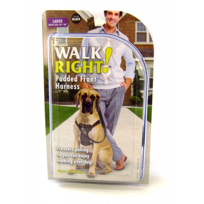 Coastal Pet Walk Right Padded Dog Harness Black Media 1 of 3