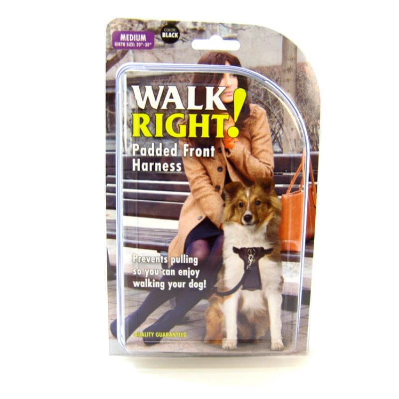 Coastal Pet Walk Right Padded Dog Harness Black Media 2 of 3