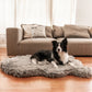 Paw Pup Rug Faux Fur Orthopedic Dog Bed Grey - Medium