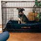 Lucky Dog Dwell Series 30 in. Crate with Sliding Door - Bronze Finish