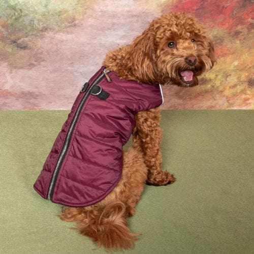 Zip-up Dog Puffer Vest - Burgundy X-Small to X-Large