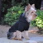 Flex-Fit Dog Hoodie - Black XS - 4XL