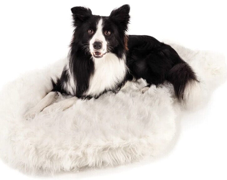 Paw PupRug Faux Fur Orthopedic Dog Bed White Medium