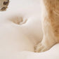 Paw PupRug Faux Fur Orthopedic Dog Bed White Medium