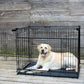 Lucky Dog Extra Large Double-Door Dog Crate with Sliding Doors, 54" L X 37" W X 40" H