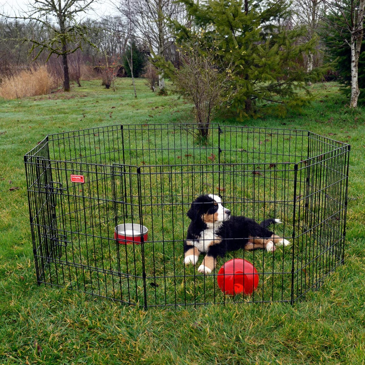 Lucky Dog 36 in. High Heavy Duty Dog Exercise Pen with Stakes