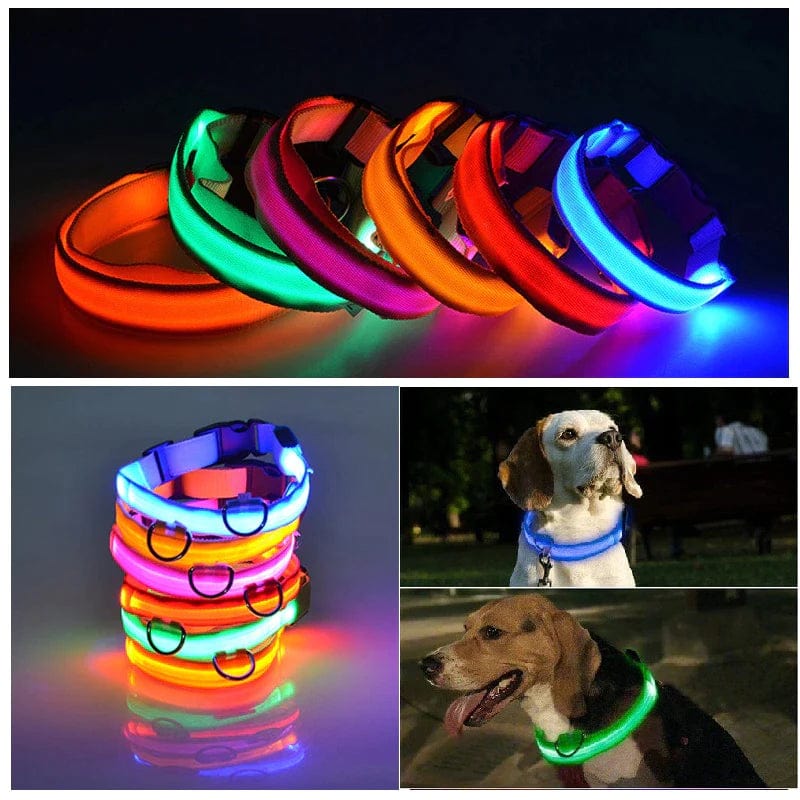 LED Adjustable Dog Collar Blinking Flashing Light up Glow Pets Safety Waterproof Media 8 of 25