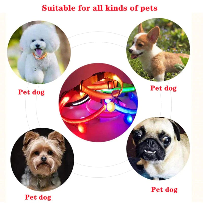 LED Adjustable Dog Collar Blinking Flashing Light up Glow Pets Safety Waterproof Media 10 of 25