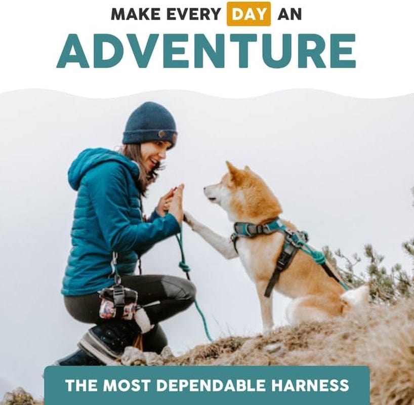 Embark Adventure XL Dog Harness No-Pull Dog Harnesses