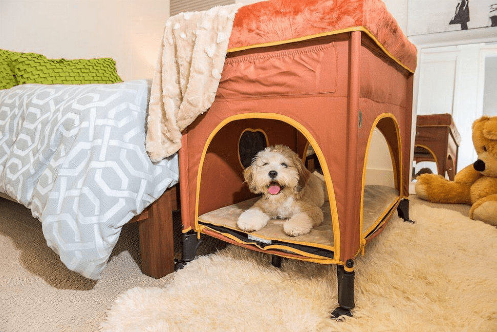 Bedside Lounge Pet Dog Bed