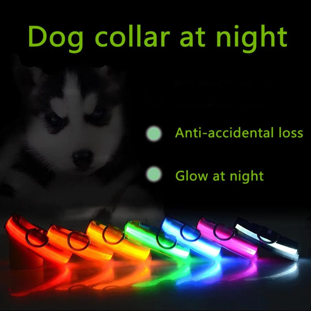 LED Adjustable Dog Collar Blinking Flashing Light up Glow Pets Safety Waterproof Media 5 of 25