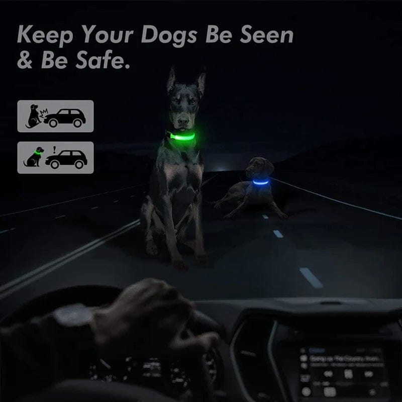 LED Adjustable Dog Collar Blinking Flashing Light up Glow Pets Safety Waterproof Media 2 of 25