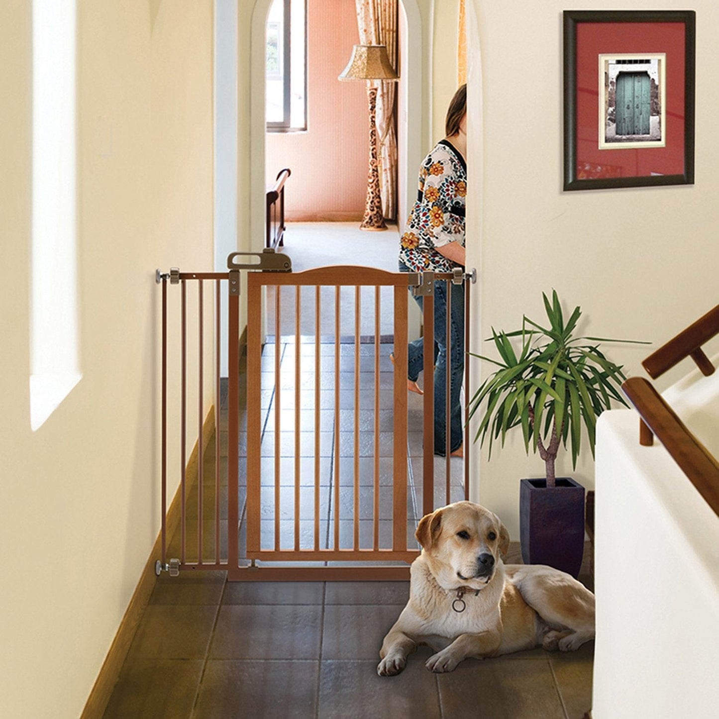 Richell Tall One-Touch Pet Gate II, 36.4" x 38.4" x 2", 15.4 LBS, Brown