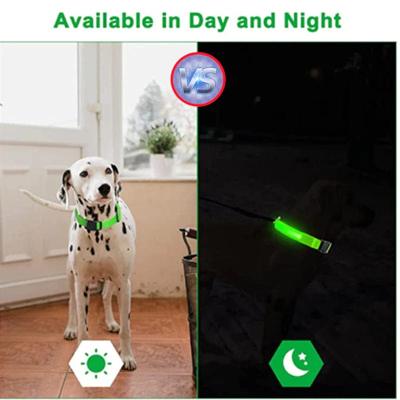 LED Adjustable Dog Collar Blinking Flashing Light up Glow Pets Safety Waterproof Media 9 of 25